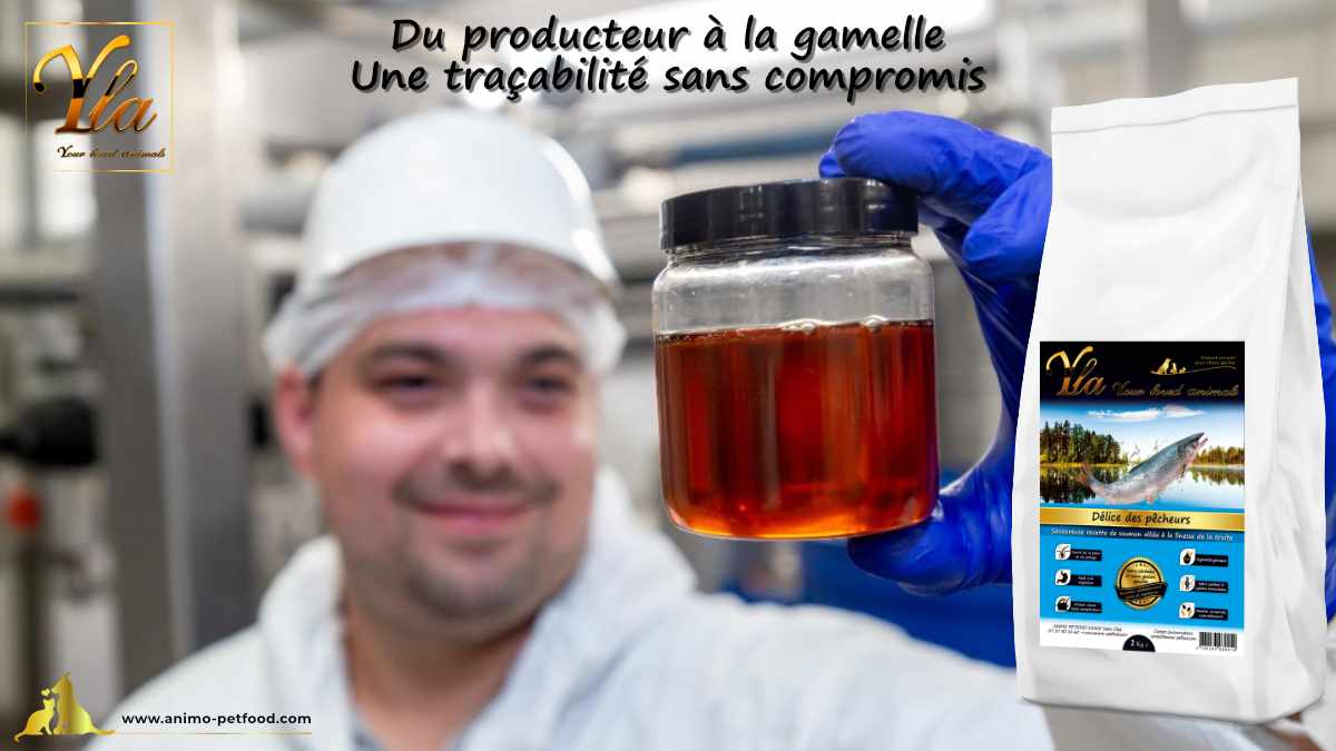 Traçabilité de nos croquettes de la production à la gamelle, garantissant une qualité sans compromis pour vos animaux